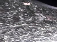 A fun and flirtatious little minx always ready to have some mischievous fun. I love being spoilt and treated like a bratty princess. The more obsessed my fans are, the more I give them