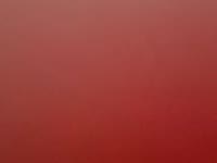 Naty Bella – Pure Natural TemptationGet ready to meet the woman who will awaken all your senses… I’m Naty Bella, a goddess with irresistible curves and large, 100% natural breasts that spark desire at first sight. I