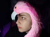 shaved pussy web cam AlexJackson